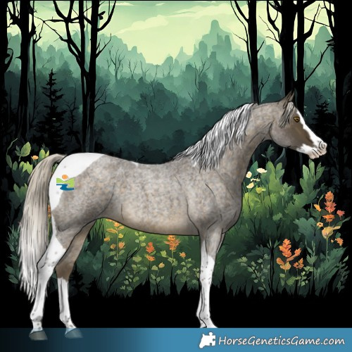 Horse Color:Silver Buckskin Roan Splash Tobiano Rabicano 