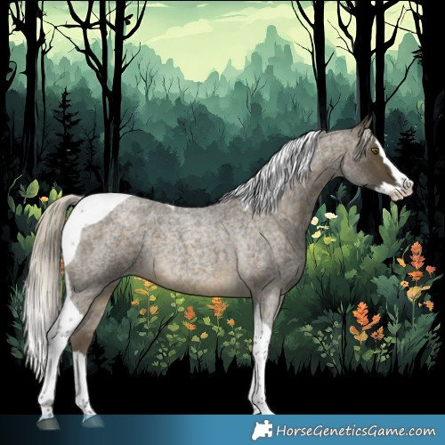 Horse Color:Silver Buckskin Roan Splash Tobiano Rabicano