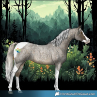 Horse Color:Silver Buckskin Roan Splash Tobiano Rabicano 