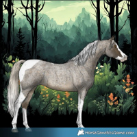 Horse Color:Silver Buckskin Roan Splash Tobiano Rabicano