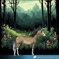 Horse Color:Buckskin Dun Splash