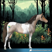 Horse Color:Buckskin Roan Tobiano Appaloosa Rabicano