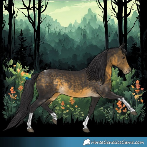 Horse Color:Buckskin Tobiano Rabicano 