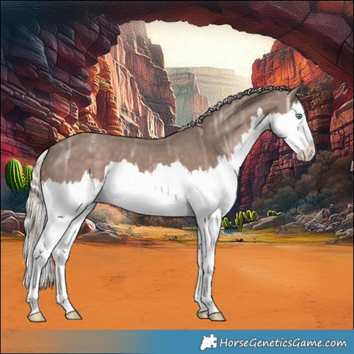 Horse Color:Silver Black Ice Splash 