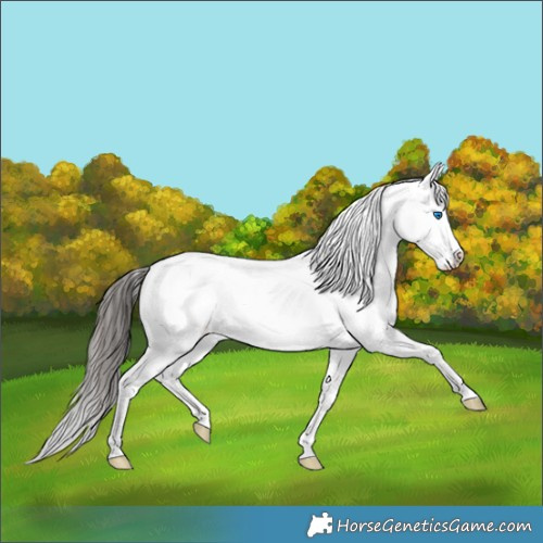 Horse Color:Bay Ice Roan Dun Splash 