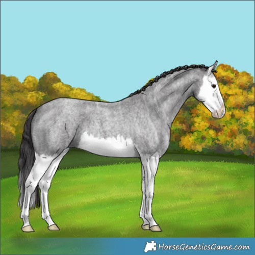 Horse Color:Smoky Blue Ice Roan Splash 
