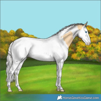 Horse Color:Silver Buckskin Splash Tobiano 