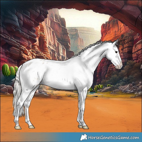 Horse Color:Silver Grullo Ice Roan Splash Appaloosa 