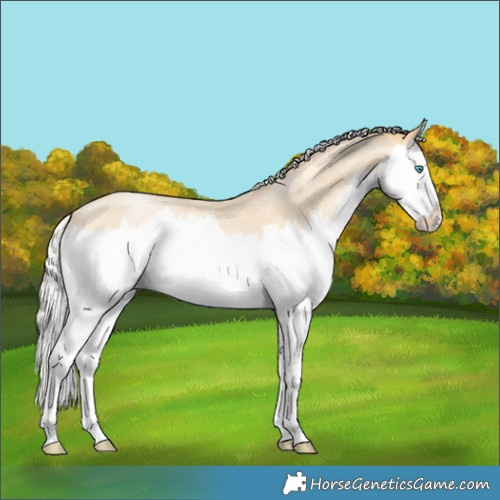 Horse Color:Silver Buckskin Roan Pearl Splash 