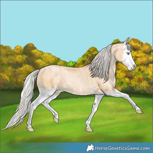 Horse Color:Silver Buckskin Ice Pearl Splash 