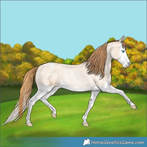 Horse Color:Buckskin Ice Roan Pearl Splash 