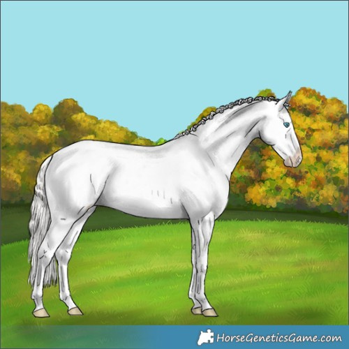 Horse Color:Silver Brown Splash 