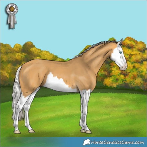 Horse Color:Silver Buckskin Splash 