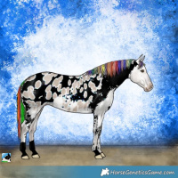 Horse Color:Painted Liver Red Dun Roan Blanket 