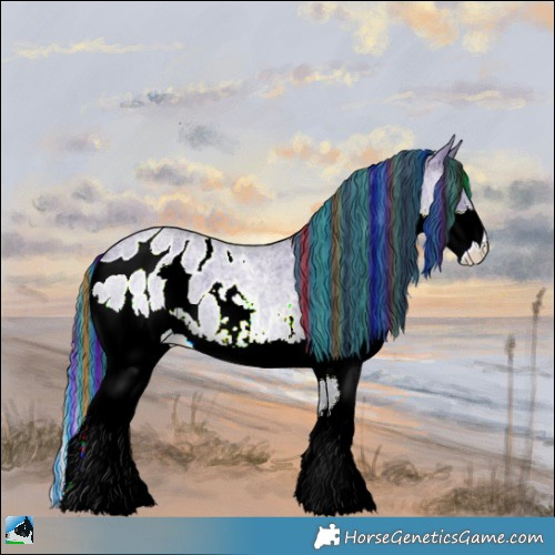 Horse Color:Painted Brown Roan Dun Splash Appaloosa