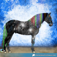 Horse Color:ERROR: UNKNOWN ANOMALY