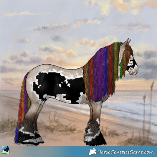 Horse Color:Painted Liver Red Dun Roan Frame 
