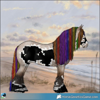 Horse Color:Painted Liver Red Dun Roan Frame 