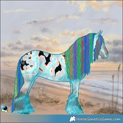 Horse Color:Painted Thunderstruck Liver Red Dun Roan Appaloosa 