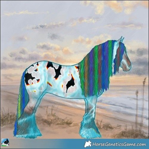 Horse Color:Painted Thunderstruck Liver Red Dun Roan Appaloosa