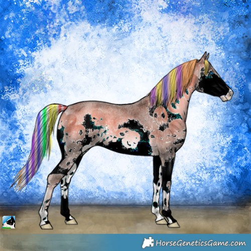 Horse Color:Painted Chocolate Palomino Roan Onyx Sabino Splash 