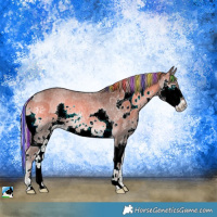 Horse Color:Painted Chocolate Palomino Roan Onyx Sabino Splash 