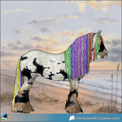 Horse Color:Painted Chocolate Palomino Roan Dun Sabino Splash 