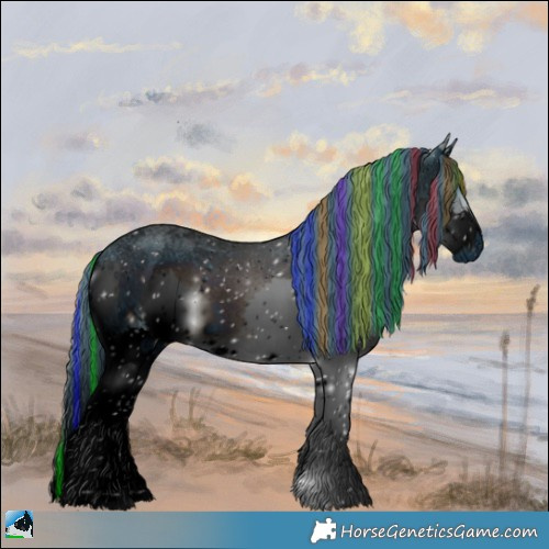 Horse Color:ERROR: UNKNOWN ANOMALY