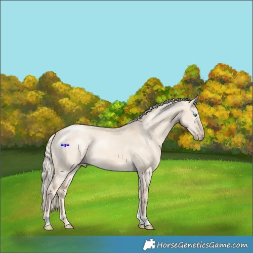 Horse Color:Cremello Dun Tobiano 