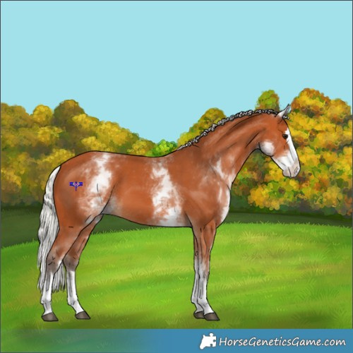 Horse Color:White Spotted Silver Bay Splash 