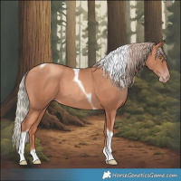 Horse Color:Gold Champagne Tobiano 