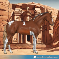 Horse Color:Chestnut Tobiano