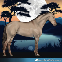 Horse Color:Liver Red Dun 