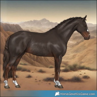 Horse Color:Liver Chestnut Rabicano 