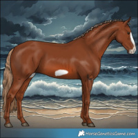 Horse Color:Chestnut Frame