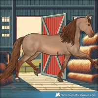Horse Color:Red Dun 