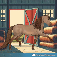 Horse Color:Red Dun