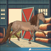 Horse Color:Red Dun 