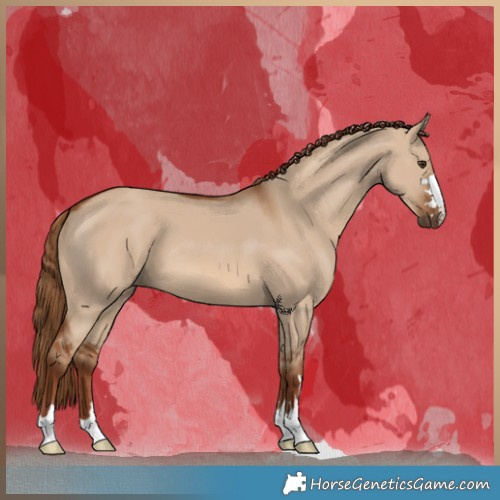 Horse Color:Red Dun 