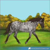 Horse Color:Liver Chestnut and Liver Red Roan