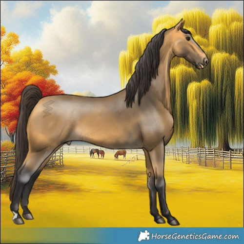 Horse Color:Buckskin 
