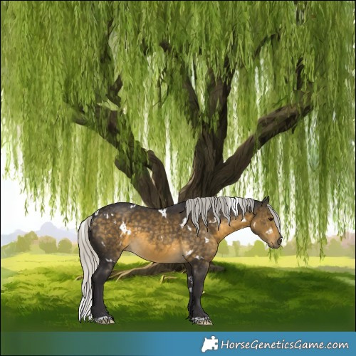 Horse Color:White Spotted Silver Buckskin 