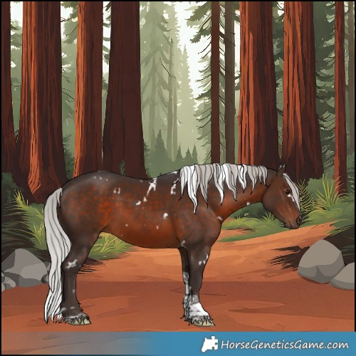 Horse Color:White Spotted Silver Brown Tobiano 