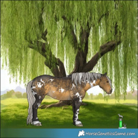 Horse Color:White Spotted Silver Buckskin Rabicano