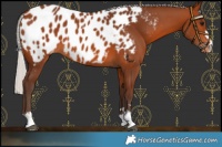 Horse Color:Silver Brown Near Leopard 