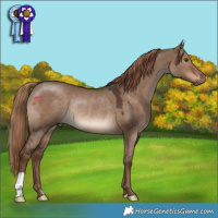 Horse Color:Liver Red Dun Rabicano