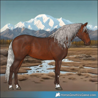 Horse Color:Silver Brown 