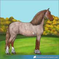 Horse Color:Red Roan Tobiano 