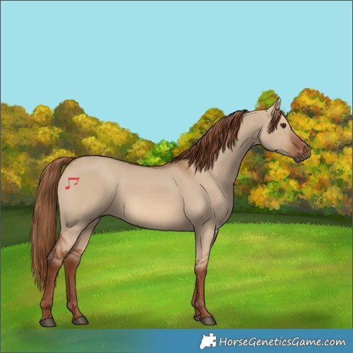 Horse Color:Red Dun 
