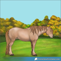 Horse Color:Chestnut Pearl 